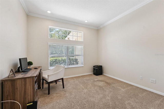 27641 Lincoln Pl, Wesley Chapel, FL 33544 - photo 41