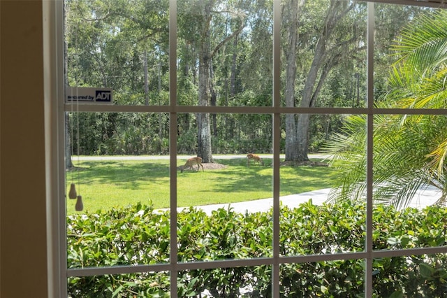 27641 Lincoln Pl, Wesley Chapel, FL 33544 - photo 63