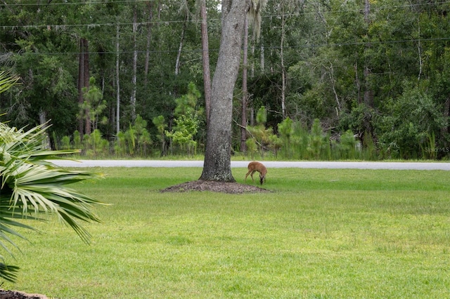 27641 Lincoln Pl, Wesley Chapel, FL 33544 - photo 65