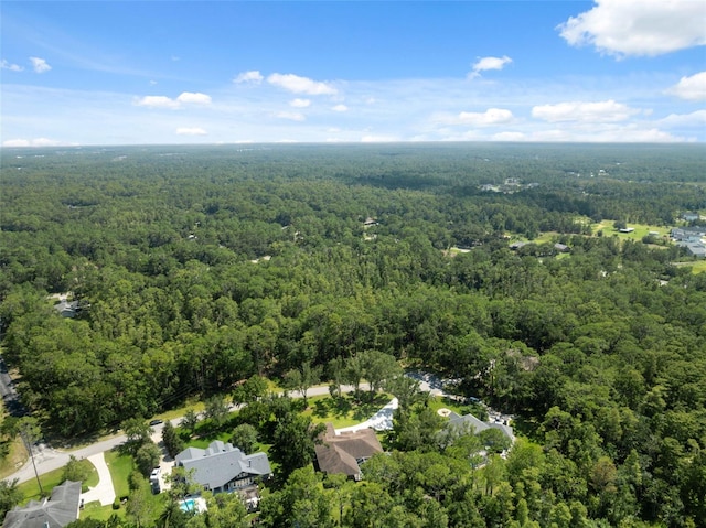 27641 Lincoln Pl, Wesley Chapel, FL 33544 - photo 66