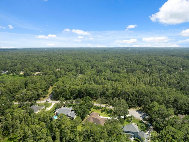 27641 Lincoln Pl, Wesley Chapel, FL 33544 - photo 81