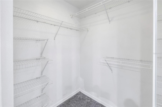 960 Starkey Rd Unit 2202, Largo, FL 33771 - photo 18