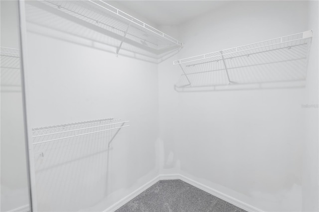 960 Starkey Rd Unit 2202, Largo, FL 33771 - photo 19