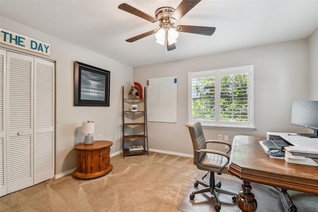 3911 W Swann Ave, Tampa, FL 33609 - photo 31