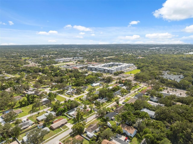 410 Larrie Ellen Way, Brandon, FL 33510 - photo 44