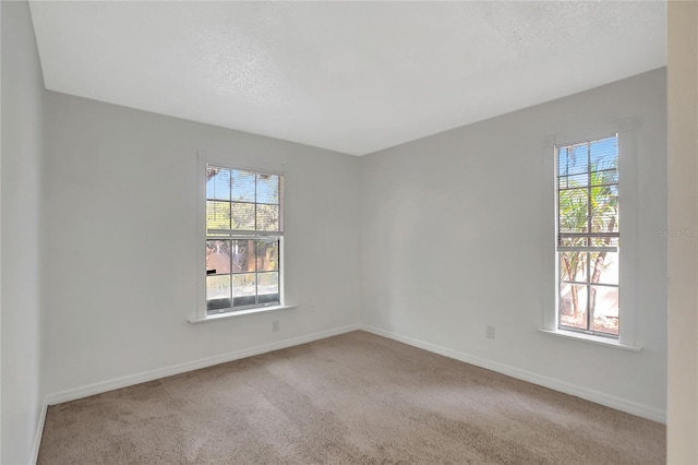 3612 Glenmac Ct, Palm Harbor, FL 34684 - photo 18
