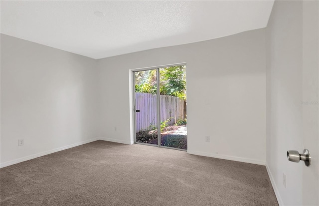 3612 Glenmac Ct, Palm Harbor, FL 34684 - photo 23