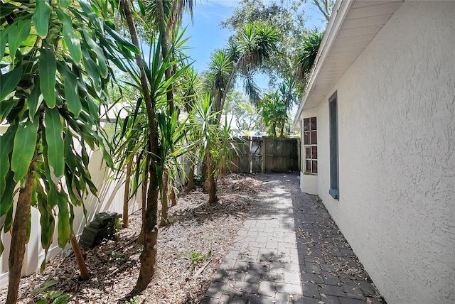3612 Glenmac Ct, Palm Harbor, FL 34684 - photo 29