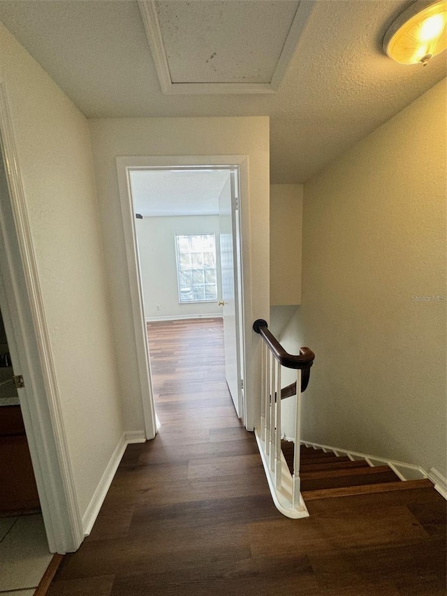 13548 Embassy Park Ct Unit 26, Dade City, FL 33525 - photo 10