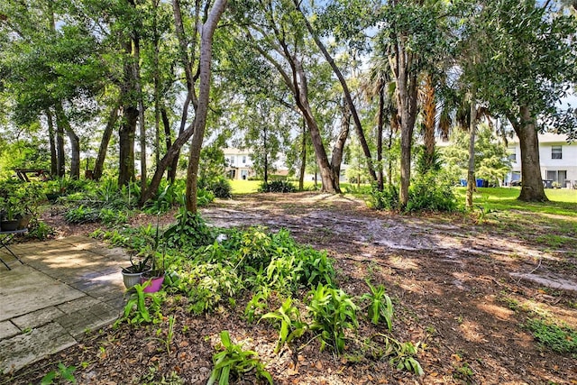 4656 Ashburn Square Dr, Tampa, FL 33610 - photo 39