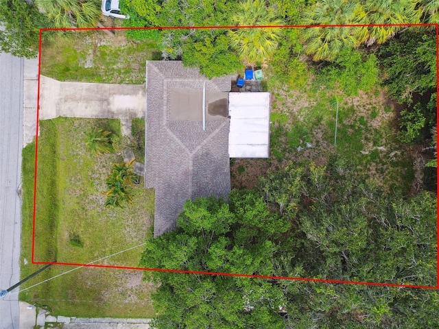 2803 Sanders Dr, Tampa, FL 33611 - photo 19