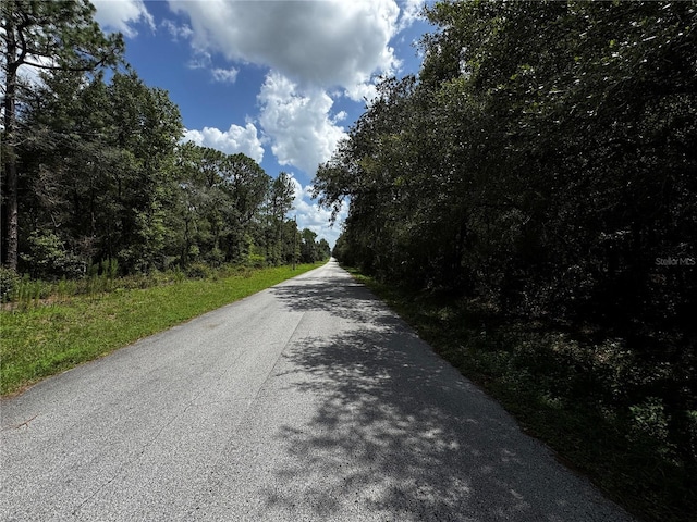 SW 106th Ave, Dunnellon, FL 34431 - photo 2