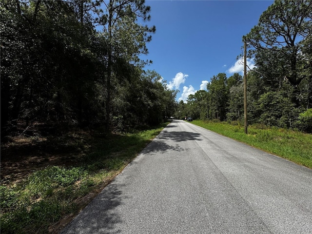 SW 106th Ave, Dunnellon, FL 34431 - photo 3