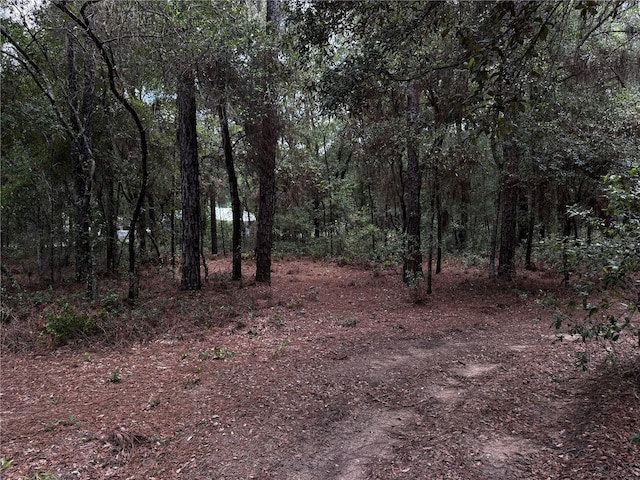 SW 106th Ave, Dunnellon, FL 34431 - photo 4