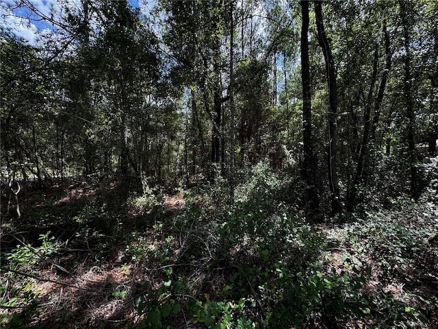SW 106th Ave, Dunnellon, FL 34431 - photo 5