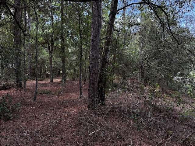 SW 106th Ave, Dunnellon, FL 34431 - photo 6