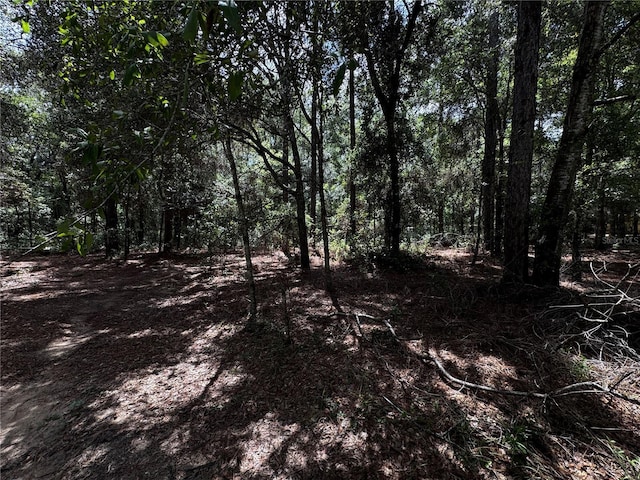 SW 106th Ave, Dunnellon, FL 34431 - photo 7