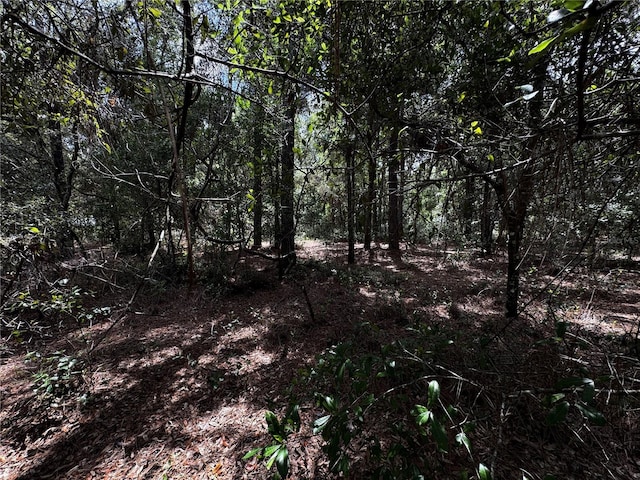 SW 106th Ave, Dunnellon, FL 34431 - photo 8