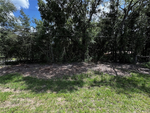 SW 106th Ave, Dunnellon, FL 34431 - photo 9