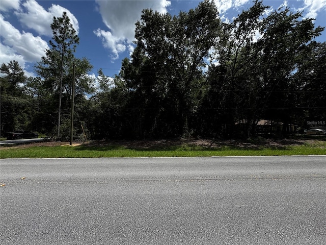 SW 106th Ave, Dunnellon, FL 34431 - photo 10