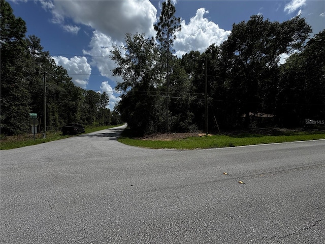 SW 106th Ave, Dunnellon, FL 34431 - photo 11