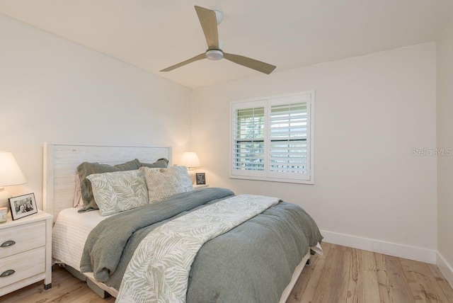 460 S Paula Dr Unit 407, Dunedin, FL 34698 - photo 22
