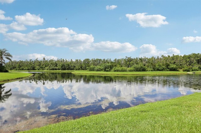 15820 Aurora Lake Cir, Wimauma, FL 33598 - photo 33