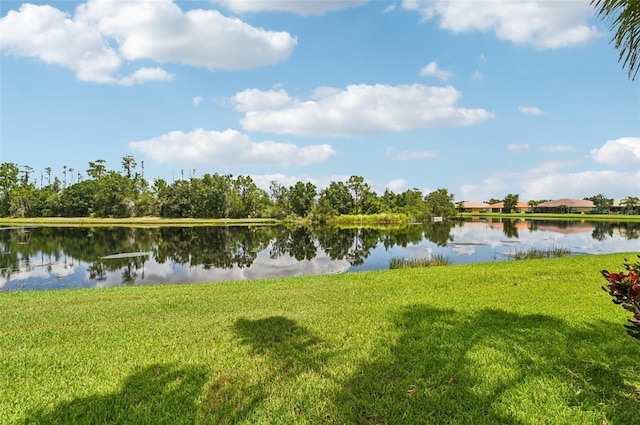 15837 Aurora Lake Cir, Wimauma, FL 33598 - photo 39