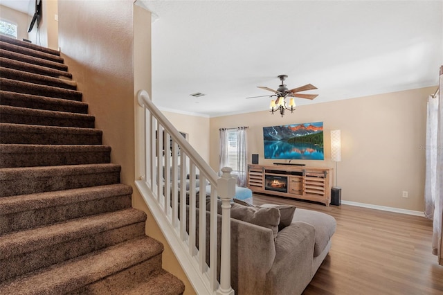 17329 Blooming Fields Dr, Land O Lakes, FL 34638 - photo 9