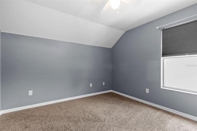 17329 Blooming Fields Dr, Land O Lakes, FL 34638 - photo 39