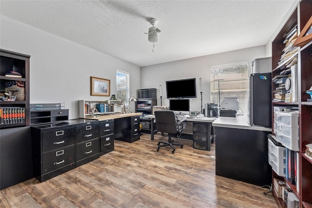 15617 Mallard Rise Loop, Spring Hill, FL 34610 - photo 23