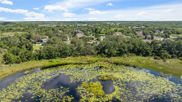 15617 Mallard Rise Loop, Spring Hill, FL 34610 - photo 31