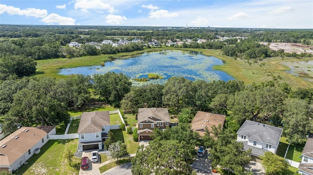 15617 Mallard Rise Loop, Spring Hill, FL 34610 - photo 34