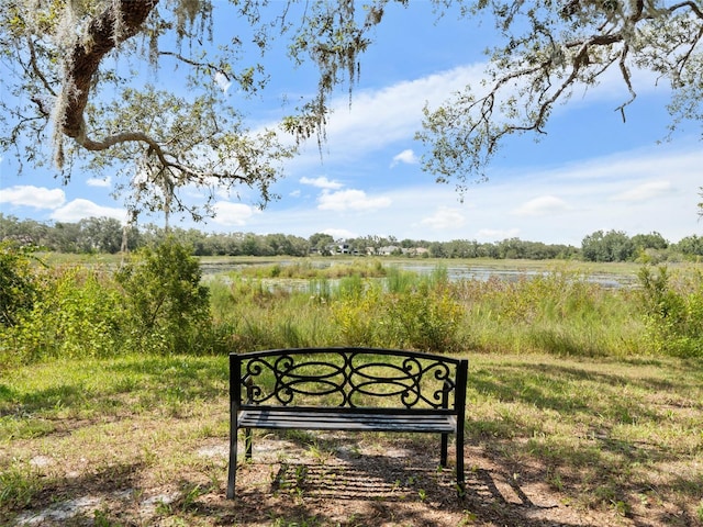 15617 Mallard Rise Loop, Spring Hill, FL 34610 - photo 35