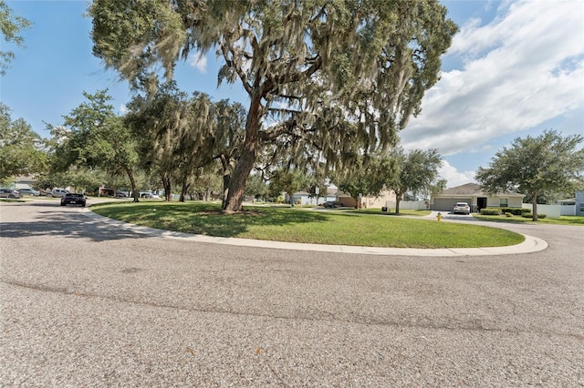 15617 Mallard Rise Loop, Spring Hill, FL 34610 - photo 36