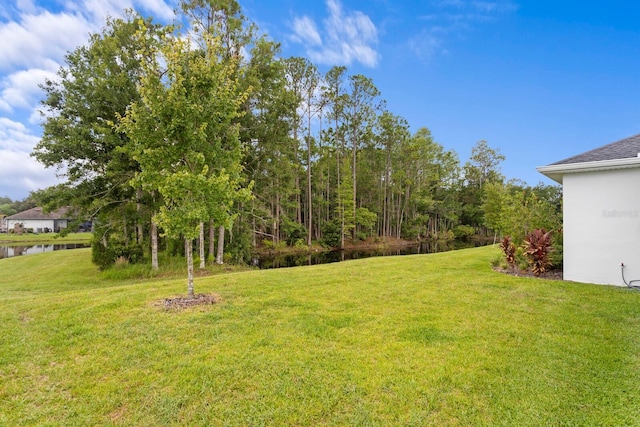 7520 Ashbrooke Pine Loop, Odessa, FL 33556 - photo 46