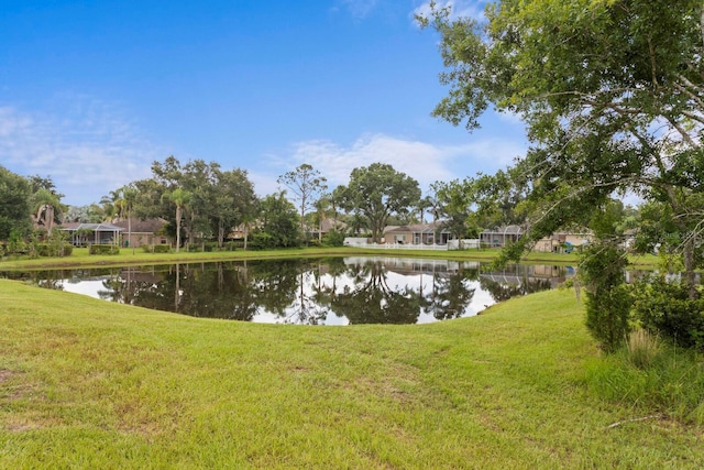 7520 Ashbrooke Pine Loop, Odessa, FL 33556 - photo 49