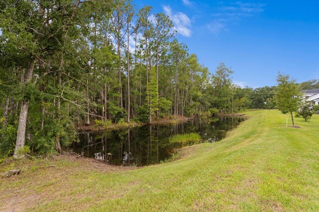 7520 Ashbrooke Pine Loop, Odessa, FL 33556 - photo 52