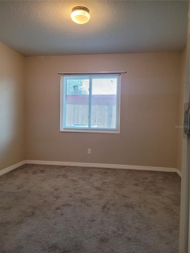 534 Golden Raintree Pl Unit 8, Brandon, FL 33510 - photo 13