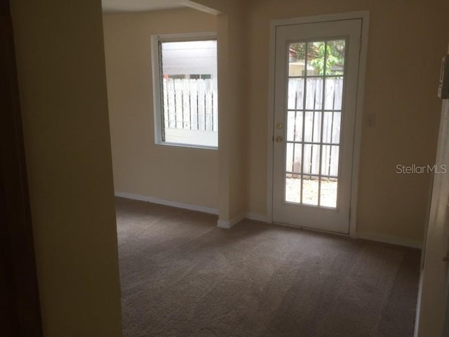 303 S Vincent St, Crystal Beach, FL 34681 - photo 10
