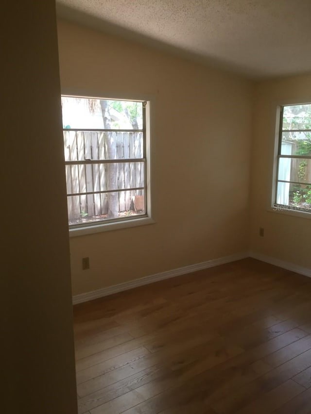 303 S Vincent St, Crystal Beach, FL 34681 - photo 14