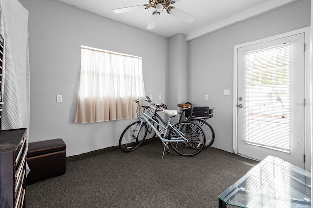 405 Charleston Ave, Crystal Beach, FL 34681 - photo 45