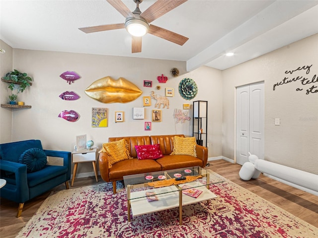 1035 7th St N, Safety Harbor, FL 34695 - photo 12