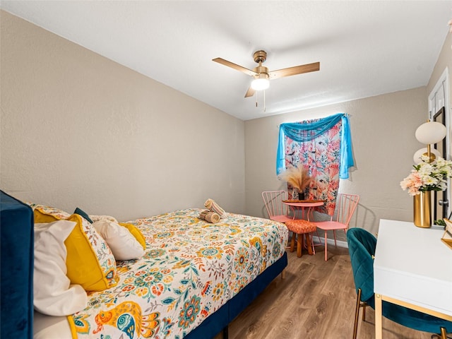 1035 7th St N, Safety Harbor, FL 34695 - photo 17