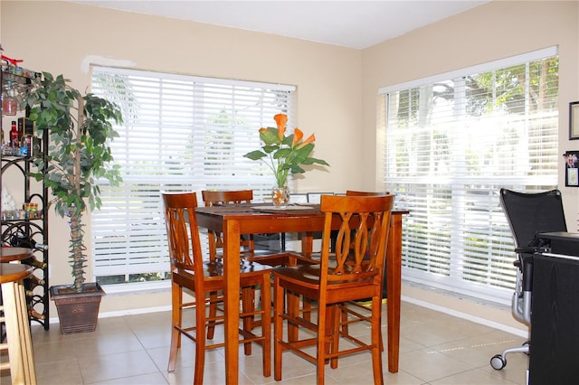 418 Kensington Lake Cir, Brandon, FL 33511 - photo 8