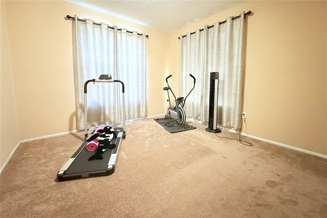 418 Kensington Lake Cir, Brandon, FL 33511 - photo 24