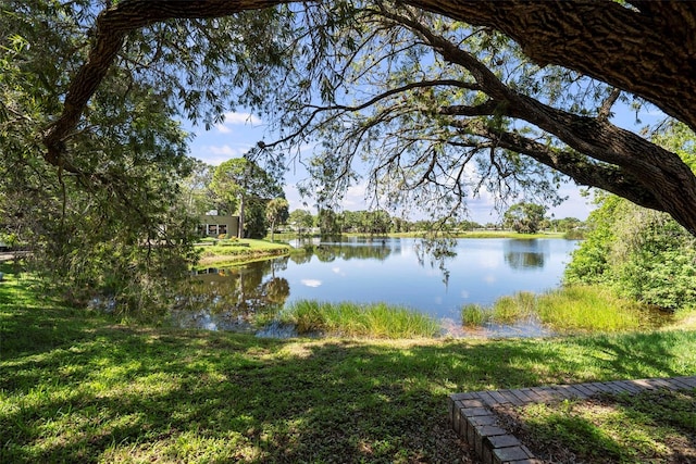 5284 Willow Links Unit 62, Sarasota, FL 34235 - photo 30
