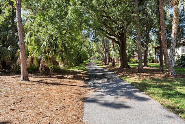 5284 Willow Links Unit 62, Sarasota, FL 34235 - photo 33
