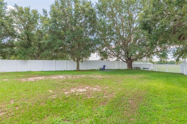 14279 Creek Run Dr, Riverview, FL 33579 - photo 42