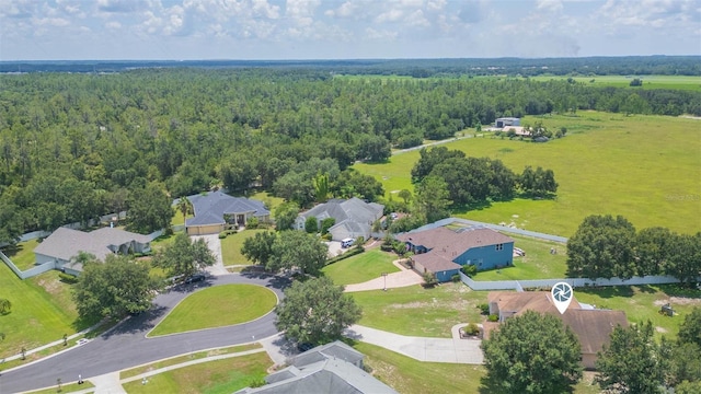 14279 Creek Run Dr, Riverview, FL 33579 - photo 49